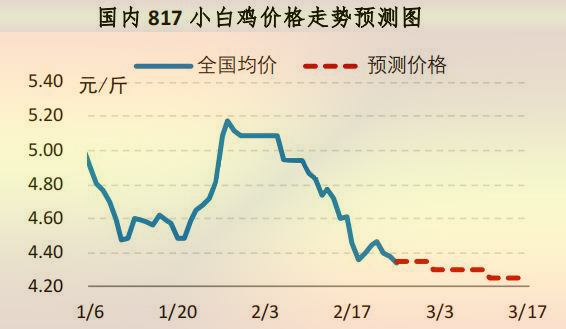 817小白鸡