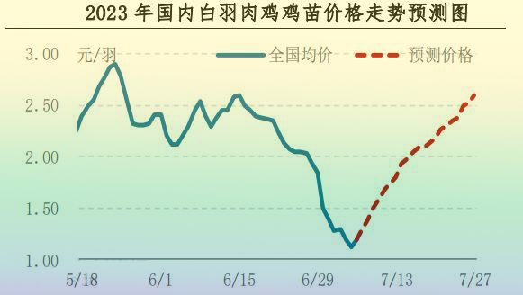 肉鸡市场行情汇总