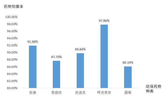  动保药物药敏结果