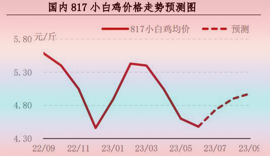 6月肉鸡市场行情分析及后市行情预测