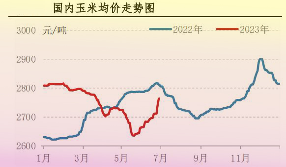 6月肉鸡市场行情分析及后市行情预测