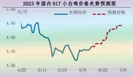 肉鸡市场行情汇总