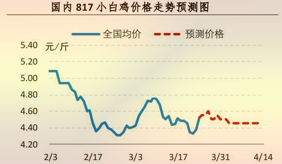  817小白鸡