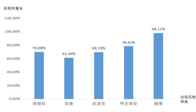 动保药物药敏结果