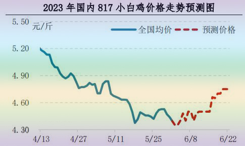 肉鸡市场行情汇总