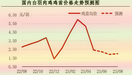 5月肉鸡市场行情分析及6月预测