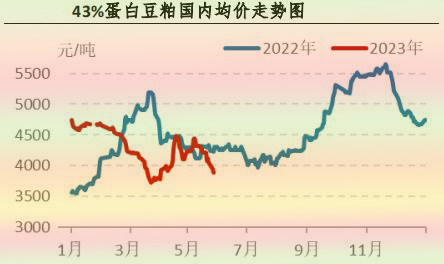 5月肉鸡市场行情分析及6月预测