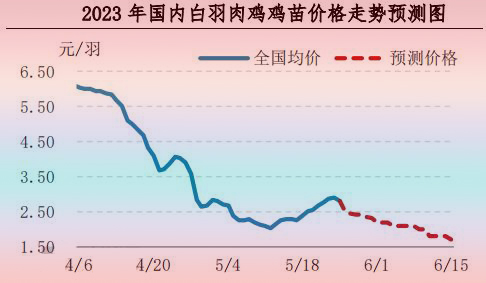 肉鸡市场行情汇总