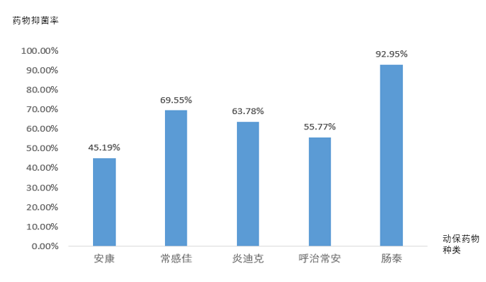 动保药物药敏结果