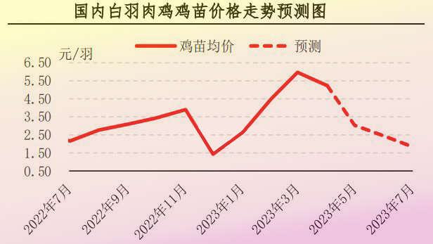 4月肉鸡市场行情分析及5月预测