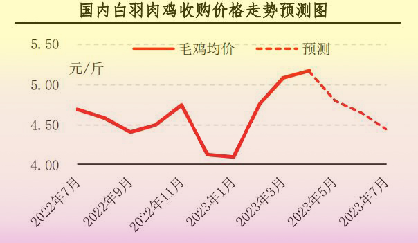 4月肉鸡市场行情分析及5月预测