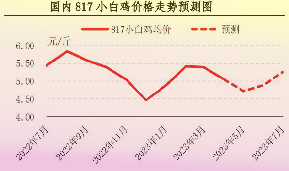 4月肉鸡市场行情分析及5月预测