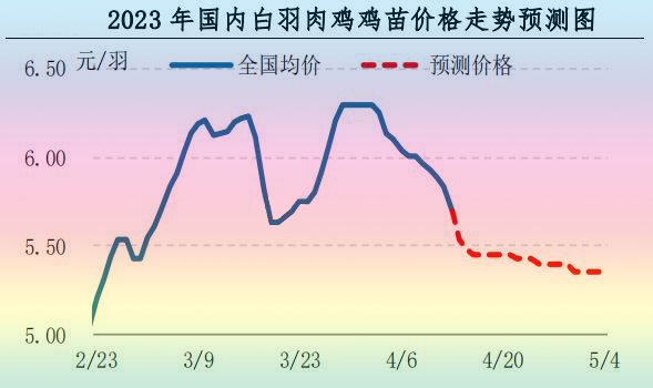 肉鸡市场行情汇总