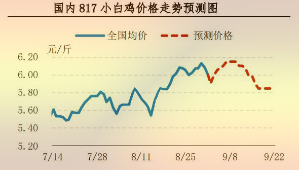 817小白鸡