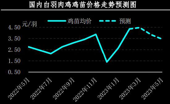 2月肉鸡市场行情分析及3月预测