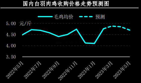 2月肉鸡市场行情分析及3月预测