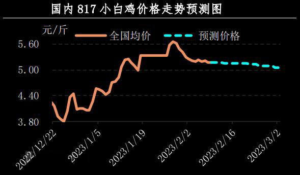 肉鸡市场行情汇总