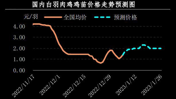 肉鸡市场行情汇总