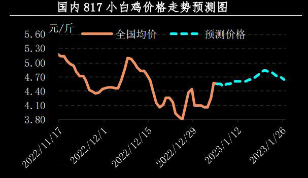 肉鸡市场行情汇总