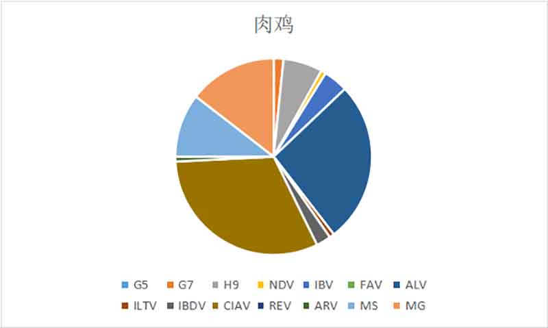 2022年12月白羽肉鸡疫病检测分析报告