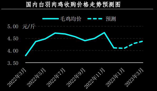 12月肉鸡市场行情分析及1月预测