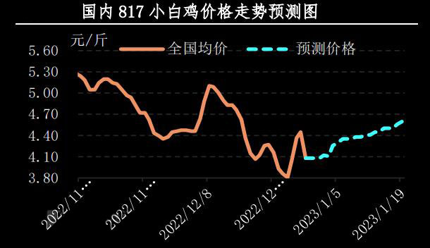 肉鸡市场行情汇总