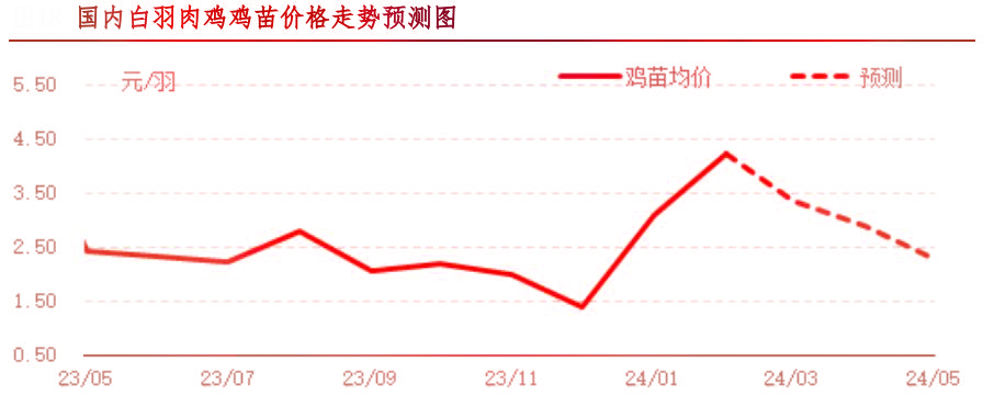 2月肉鸡市场行情分析及3月行情预测