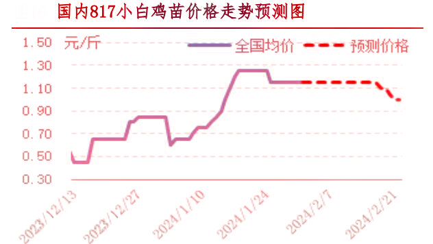 肉鸡市场行情汇总