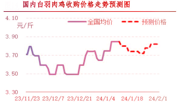 肉鸡市场行情汇总