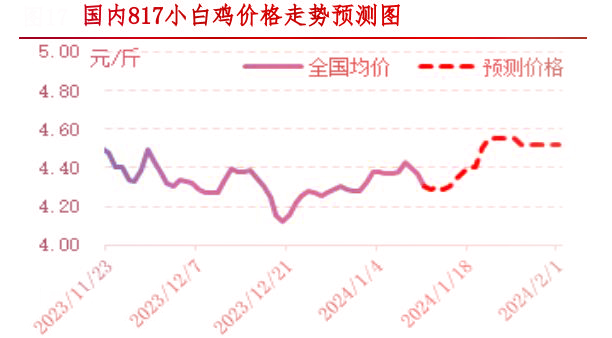 肉鸡市场行情汇总