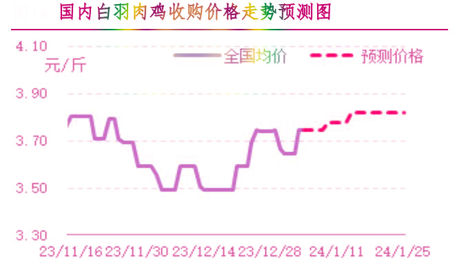 肉鸡市场行情汇总